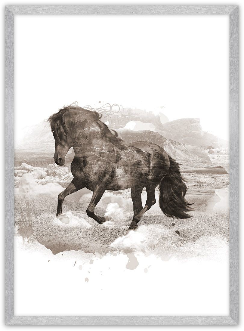 Dekoria Dekoria Plakat Horse 50 x 70 cm Ramka Srebrna 222G-000-27