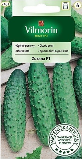 Vilmorin Ogórek gruntowy mieszaniec Zuzana F1 3g