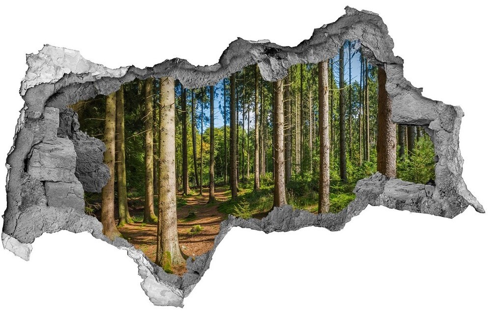 Wallmuralia.pl Fotoobraz dziura na ścianę Pióra i kwiaty