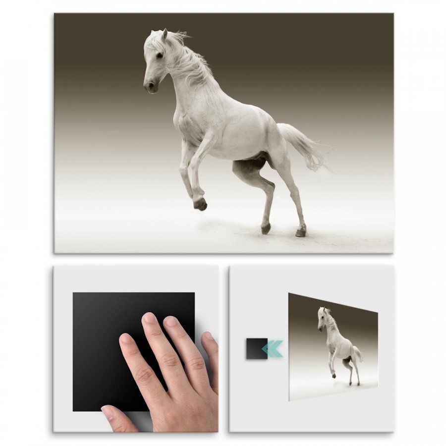 Pix4home Plakat metalowy biały koń L POS-L-01803