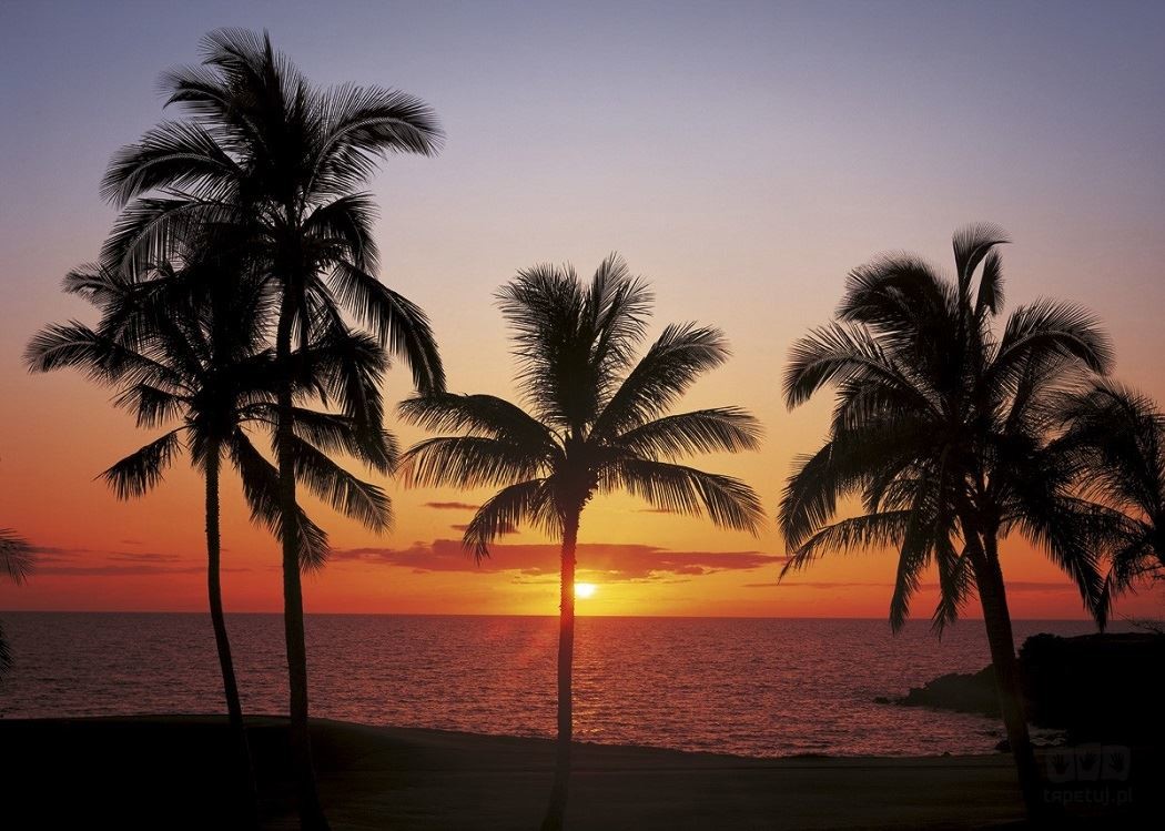 Komar Fototapeta Hawaii 8-307