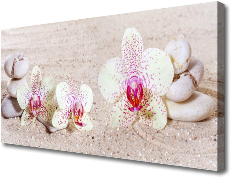 PL Tulup Obraz Canvas Storczyk Orchidea Piasek 100x50cm