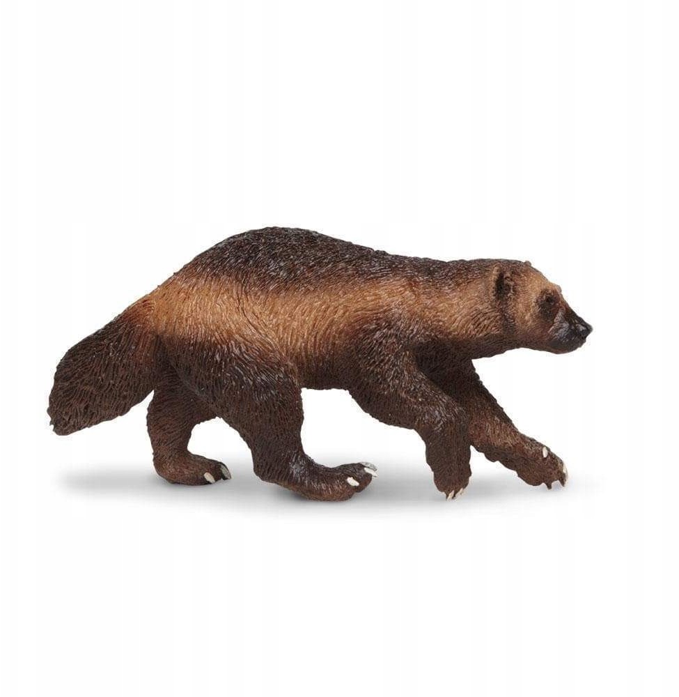 Safari Rosomak - Wolverine - Ltd. - 180429