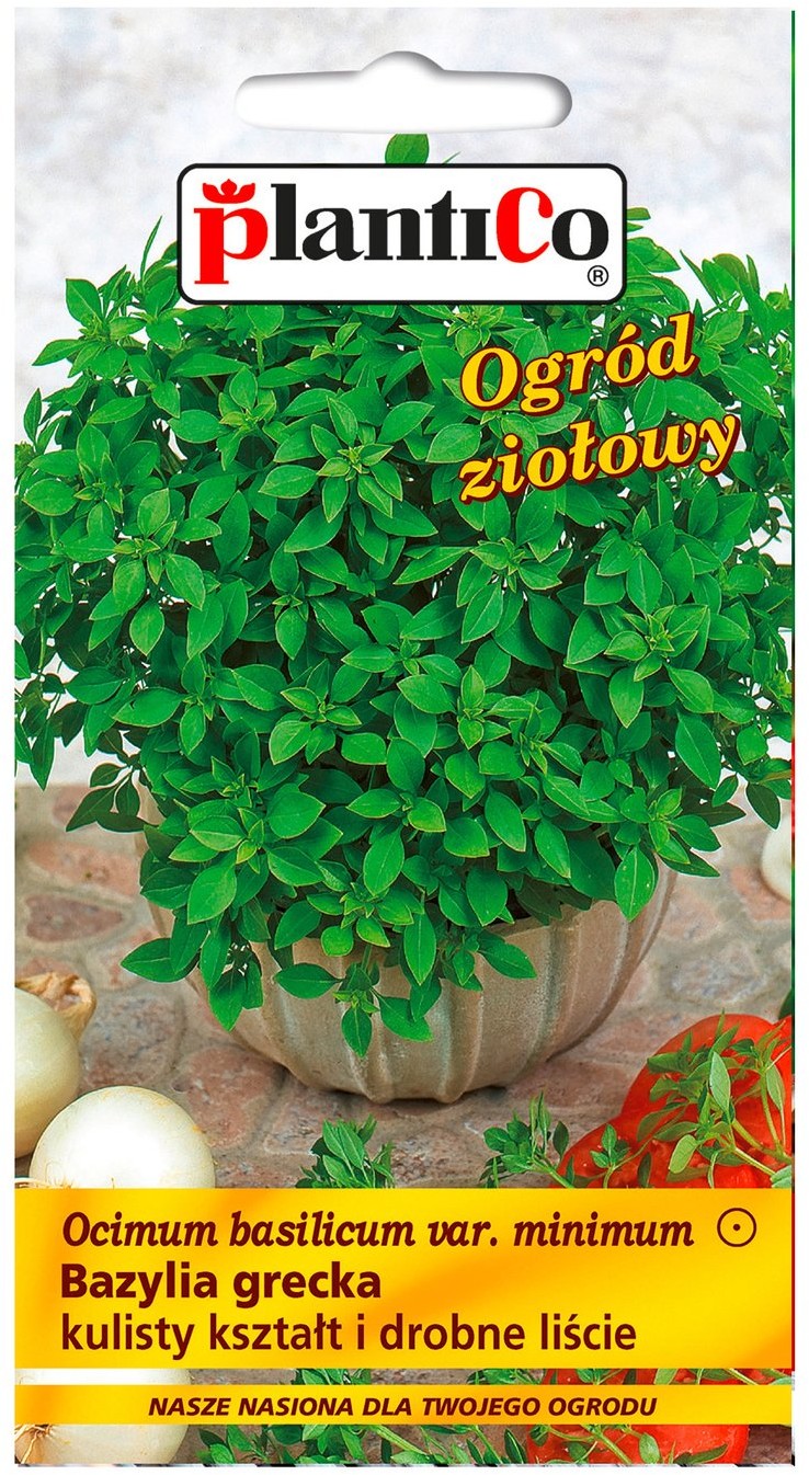 Plantico Bazylia grecka mini OZI