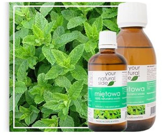Your Natural Side Your Natural Side Woda Kwiatowa Miętowa 100ml
