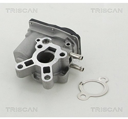 Triscan triscan 8813 14100 AGR zaworów 8813 14100