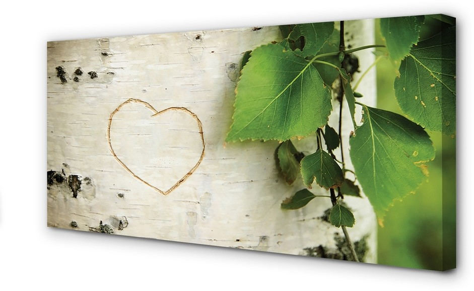 PL Tulup Obrazy na płótnie Serce brzozy liście 100x50cm