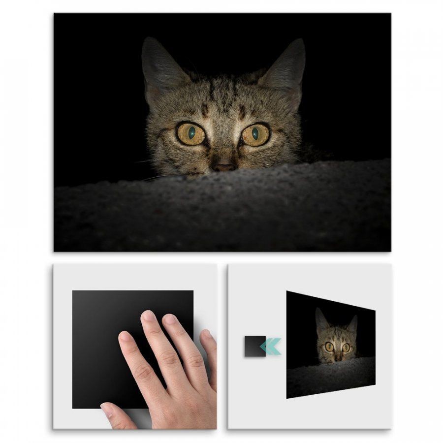 Pix4home Plakat metalowy Kot pręgowaty M POS-M-01725