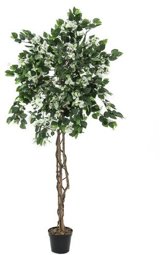 Europalms Euro Palms 82507085 bugenwilli Lea 150 cm, biały 82507085