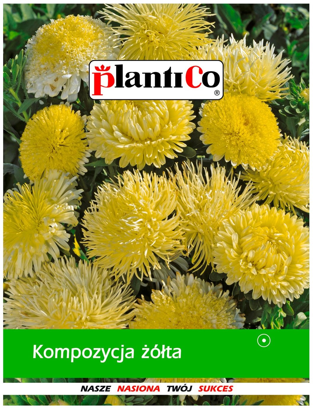 Plantico Kompozycja żółta