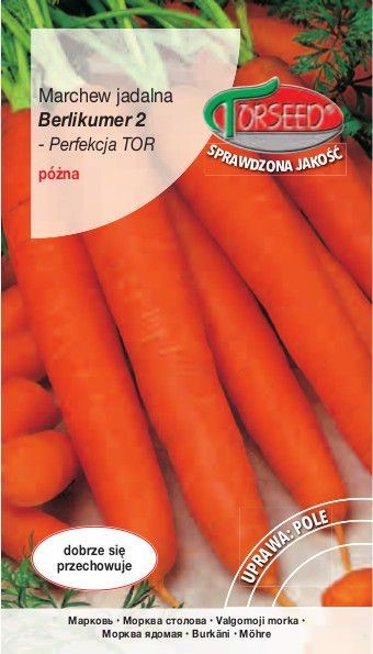 Torseed Nasiona Marchew Berlikumer 2 Perfekcja TOR 5g Torseed9701