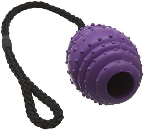 Classic Pet Products linka gumowa Oval ball z jednego źródła, duża, 100 MM, liliowy/czarna