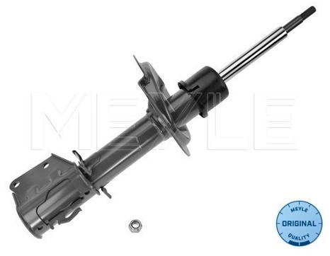 Wulf Gaertner Autoparts Amortyzator Wulf Gaertner Autoparts 226 623 0013