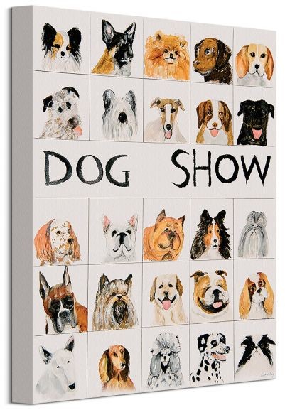 Pyramid Posters Dog Show - obraz na płótnie WDC92982