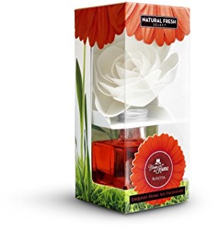 NATURAL FRESH Natural Fresh Bloom AT HOME Rosetta 100 ML Sola-kwiaty, Flower Diffuser, luftefrischer, dekoracyjna, prezent, szkło, Red, 5,5 x 5,5 x 13 cm L-BH100-RO