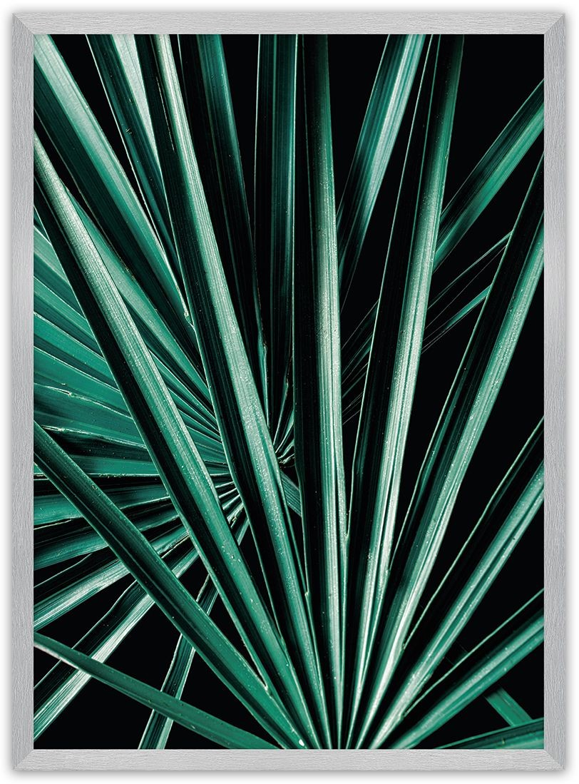 Dekoria Dekoria Plakat Dark Palm Tree 30 x 40 cm Ramka Srebrna 219B-000-18