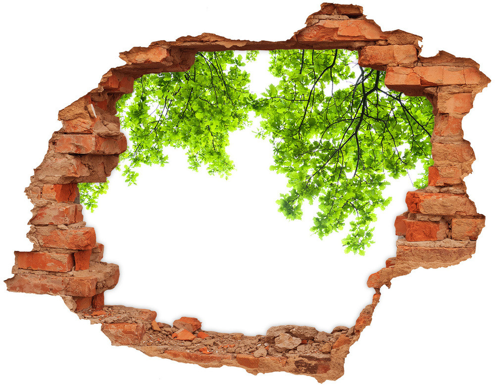 Wallmuralia.pl Samoprzylepna dziura naklejka Liście dębu