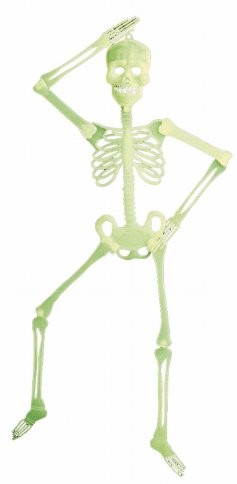 Widmann Andreas 5219 W  dekoracyjna szkielet 3d, około 90 cm, fluorescencyjny Wanddeko 3 D Skelett