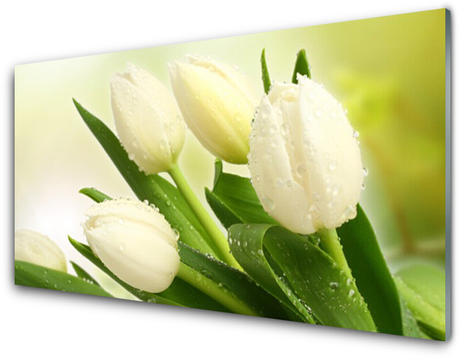 Tulup.pl Panel Kuchenny Tulipany Kwiaty Roślina 100x50cm