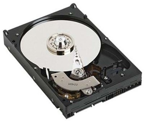 Dell Dysk serwerowy HD,500GB,ES,7.2,3.5,W-SU,E/C 1KWKJ