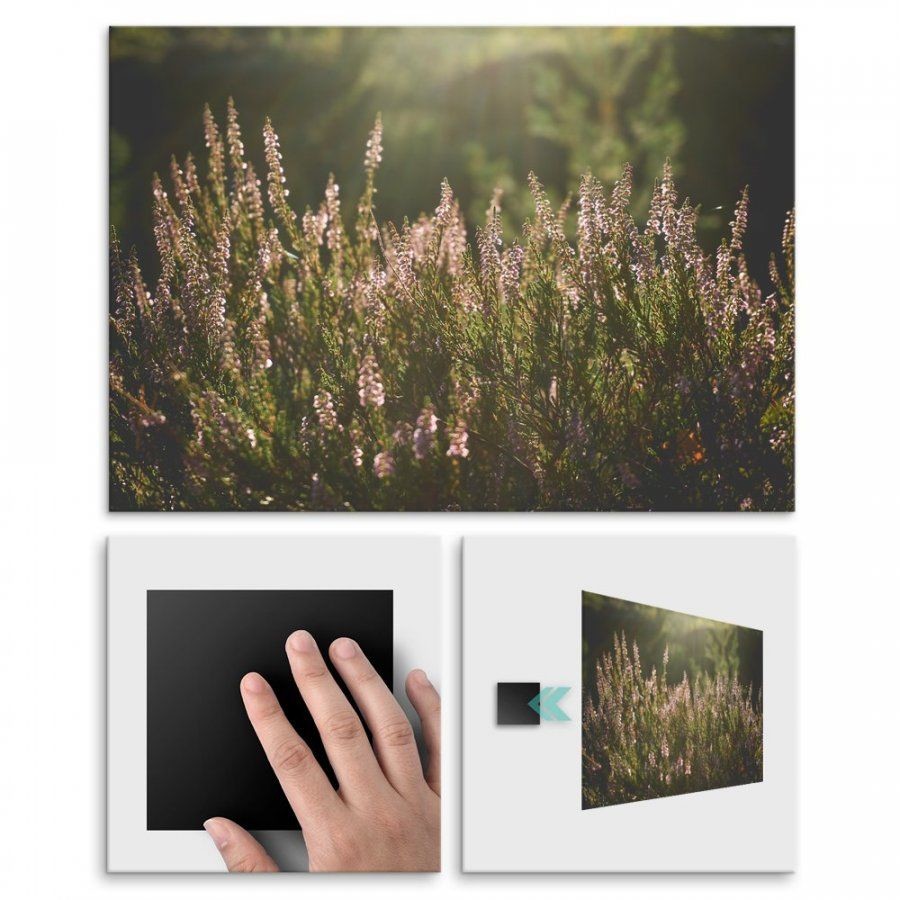 Pix4home Plakat metalowy słonecznie M POS-M-01296