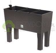 Prosperplast Skrzynka Rato case high DRTC800H umbra