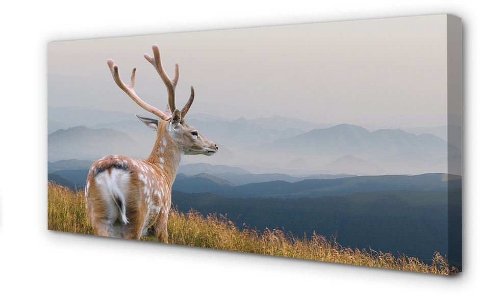 PL Tulup Obrazy na płótnie Jeleń góry 125x50cm