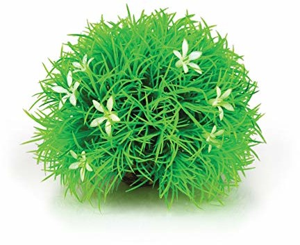 Oase OASE biorb szklarnia ball stokrotka 46086.0