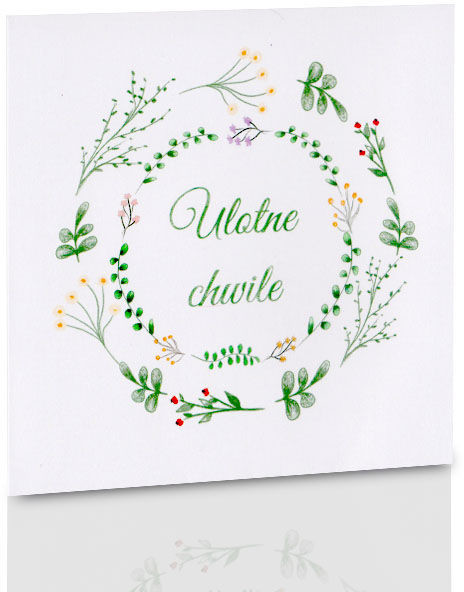 Obwoluta TS Ulotne chwile (na płytę CD/DVD)