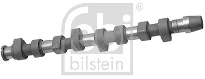 FEBI Wał rozrządu BILSTEIN 10011