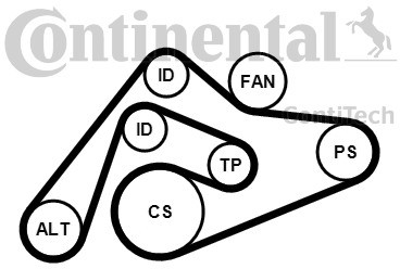 CONTITECH Zestaw paska klinowego wielorowkowego CONTITECH 6PK2404K1