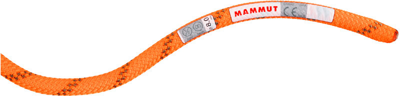 Mammut 8.0 Alpine Dry Rope 60m, safety orange-boa 2021 Liny połówkowe 2010-04350-11238-1060