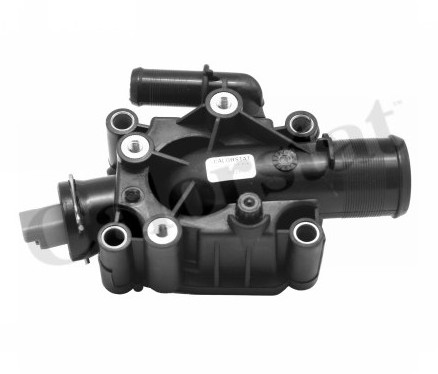 CALORSTAT Termostat, środek chłodzący CALORSTAT TH6972.91J