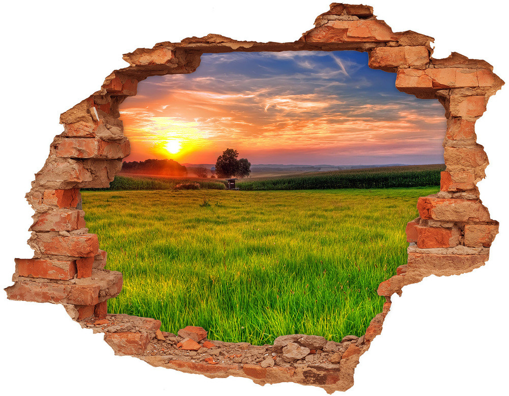 Wallmuralia.pl Samoprzylepna dziura na ścianę Zachód słońca łąka