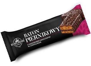 Kopernik Baton Piernikowy z nadz. owocowym w czekoladzie 47g CKOP.8100