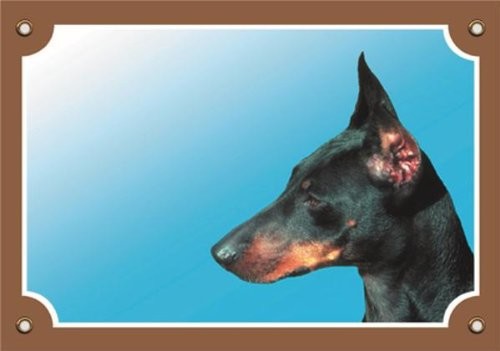 Nobby 93055 znak ostrzegawczy dobermann