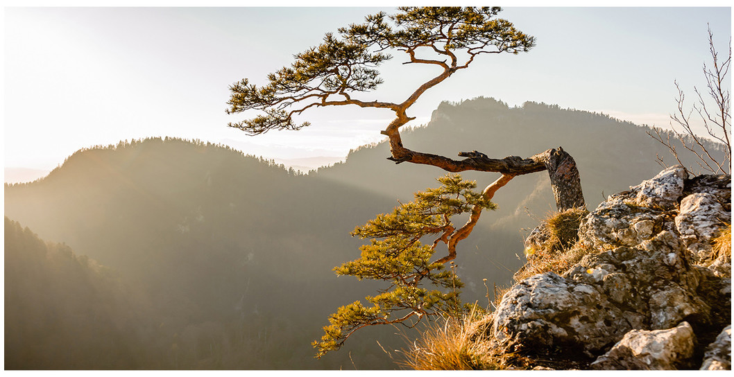 Foto obraz szkło akryl Sokolica Pieniny