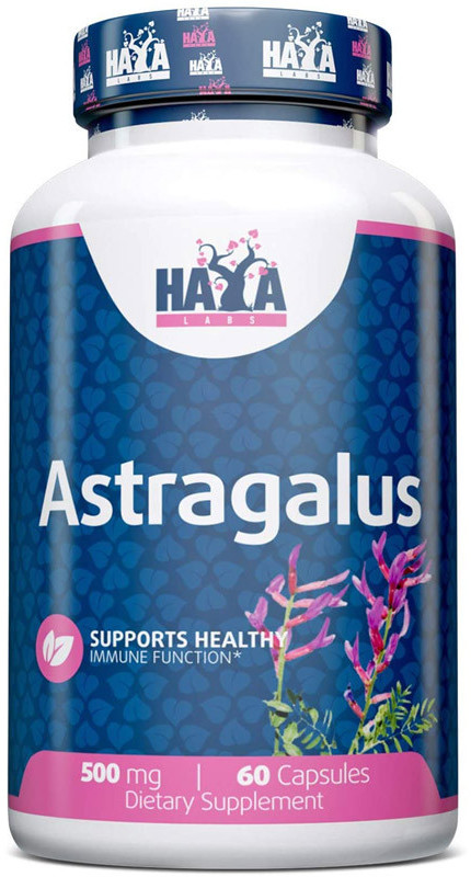 Haya Labs Astragalus 500mg 60caps