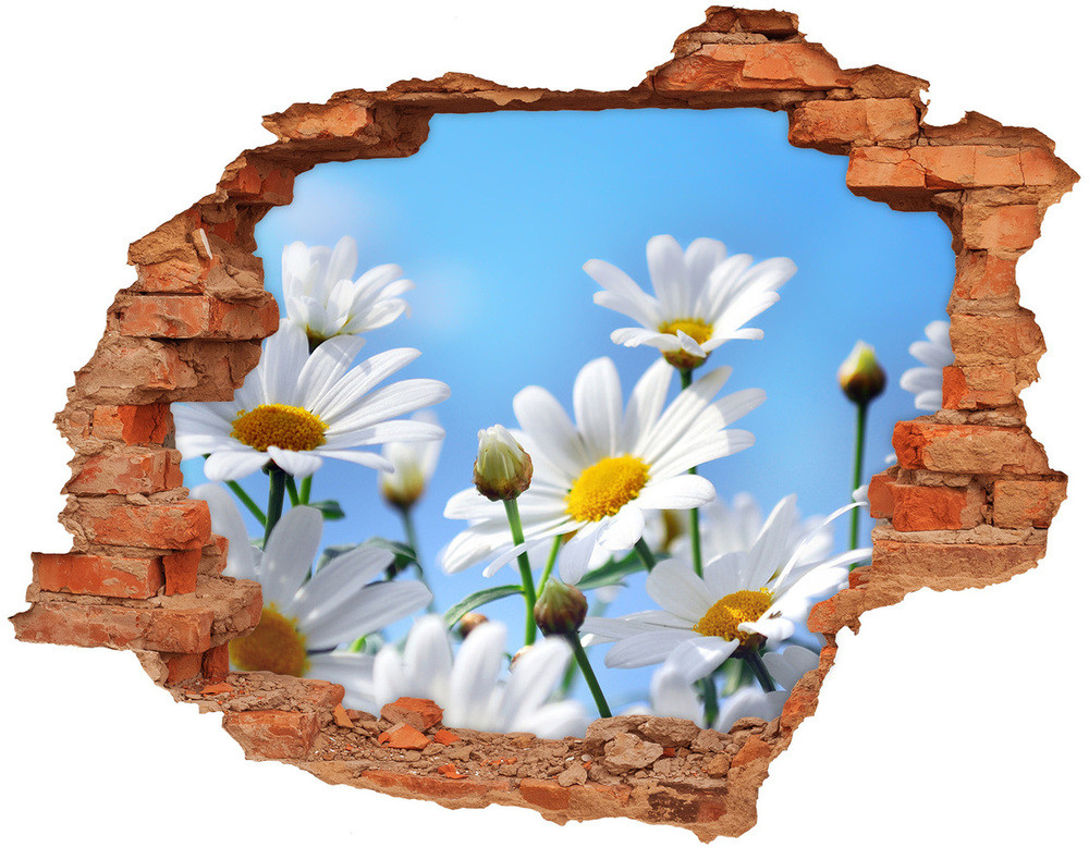 Wallmuralia.pl Samoprzylepna naklejka na ścianę Stokrotki