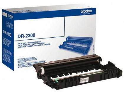 Brother DCP-L2500D