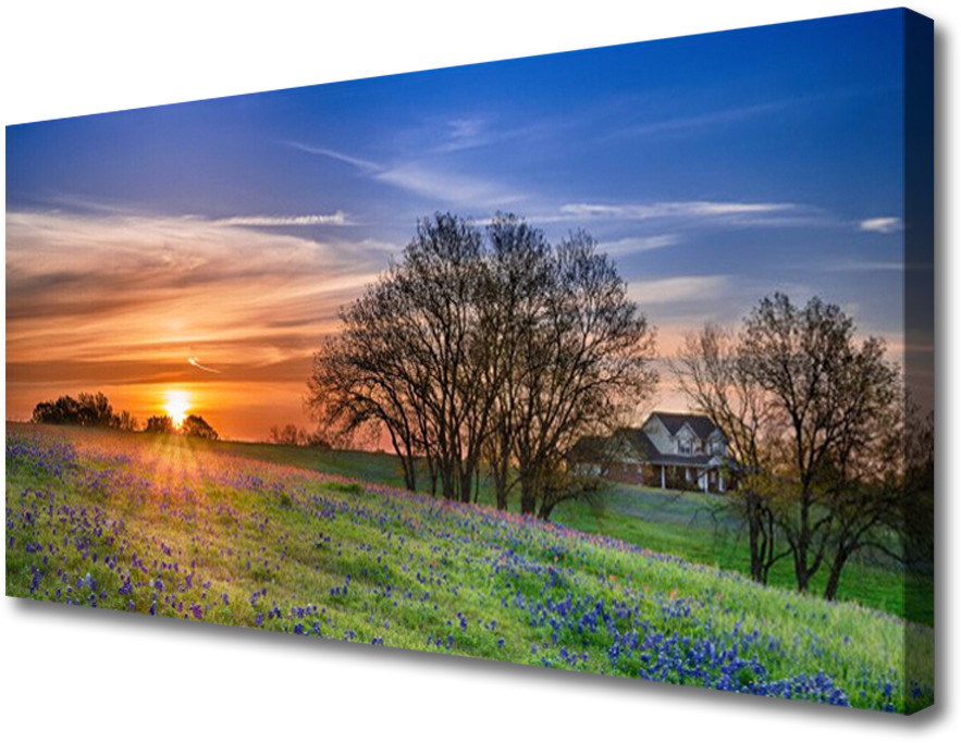 PL Tulup Obraz Canvas Łąka Słońce Krajobraz 100x50cm