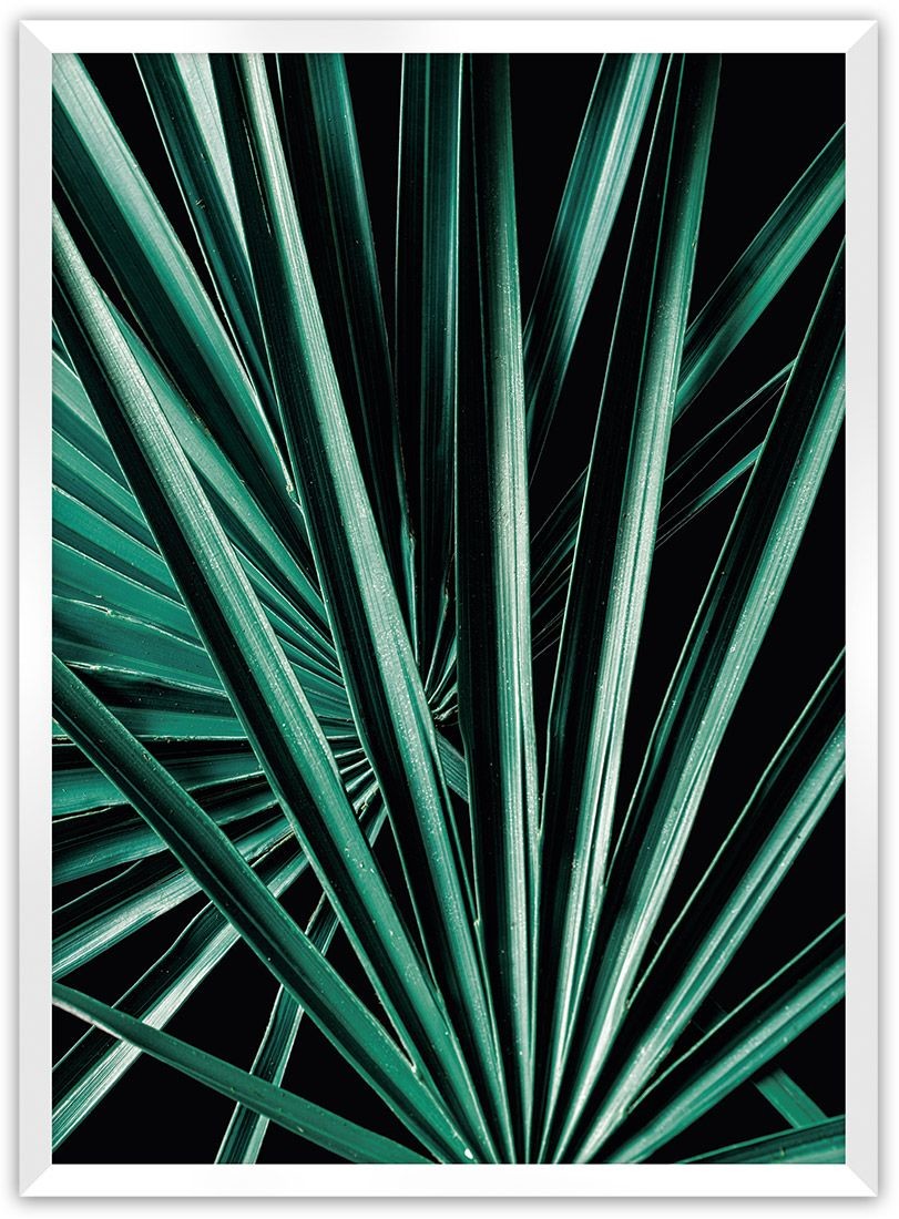 Dekoria Dekoria Plakat Dark Palm Tree 50 x 70 cm Ramka Biała 222F-000-18
