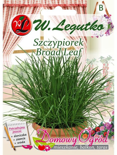 Legutko Szczypiorek BROAD LEAF