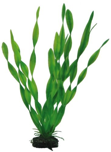 Hobby Vallisneria sztuczna roślina do akwariów, 34 cm