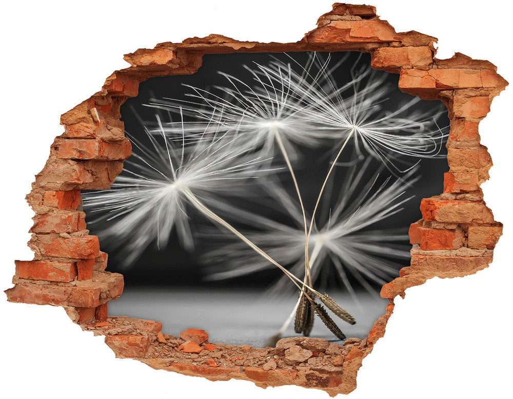 Wallmuralia.pl Samoprzylepna dziura naklejka Nasiona dmuchawca