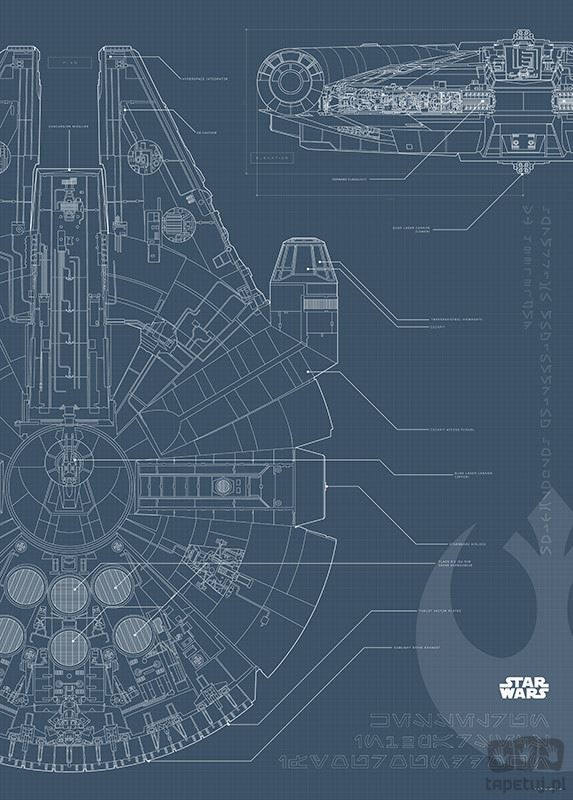 Obraz Komar Star Wars Blueprint Falcon WB176 WB176