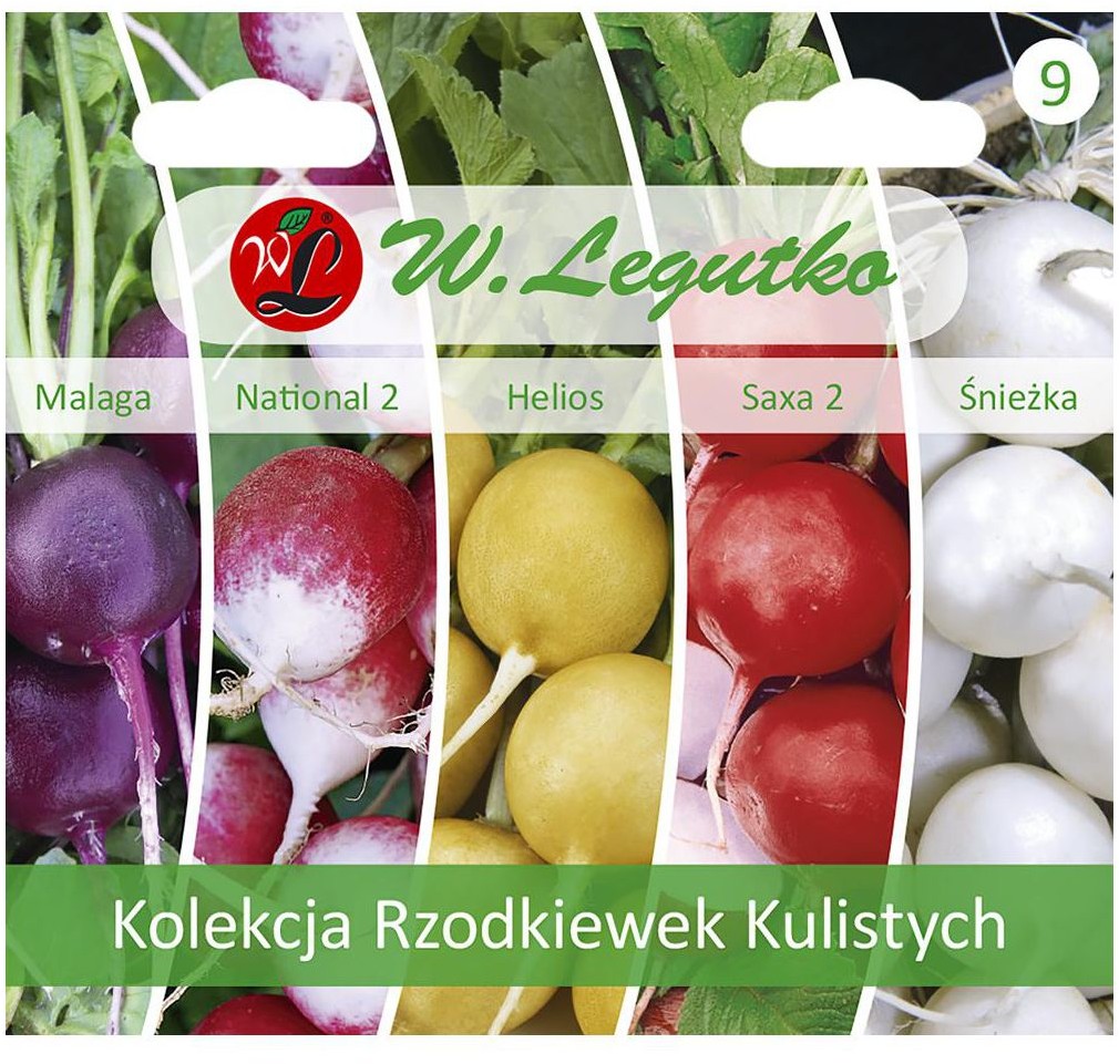 Legutko Rzodkiewka kolekcja nasion tradycyjnych