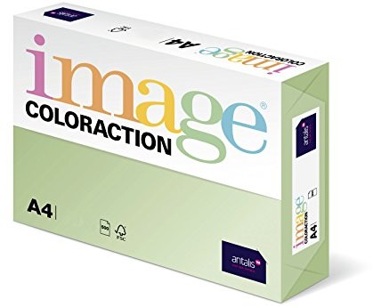 Antalis Własna colorac 838 A 160S 21   papier do kopiowania, DIN A4, 160 G/M, kolor: Jungle  jasnozielony 3597320001772