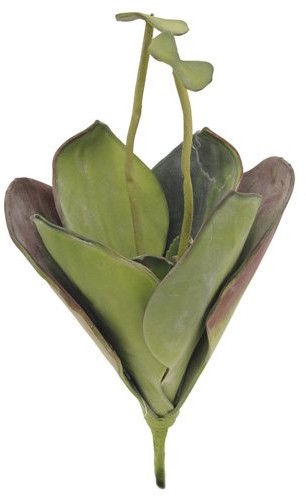 Europalms Euro Palms 82530575 lilia wodna, EVA, zamknięta 45 cm, zielony 82530575
