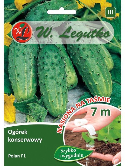 Legutko Ogórek gruntowy POLAN
